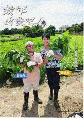 角色背后 封面